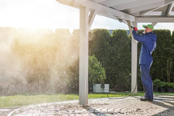 Best Graffiti Removal  in Traer, IA